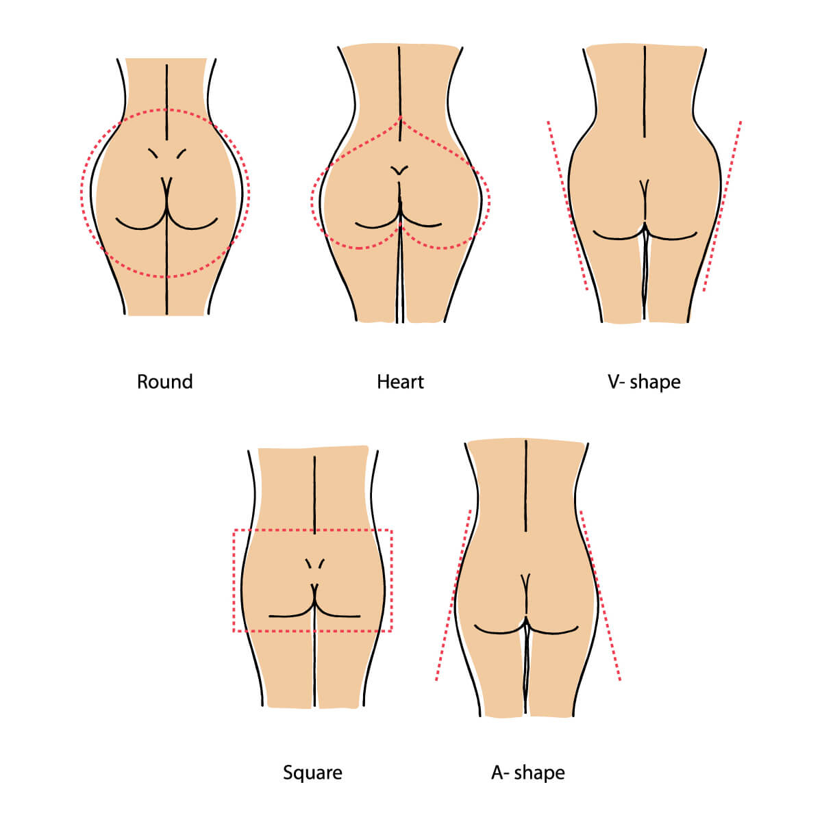 Different BBL Shapes